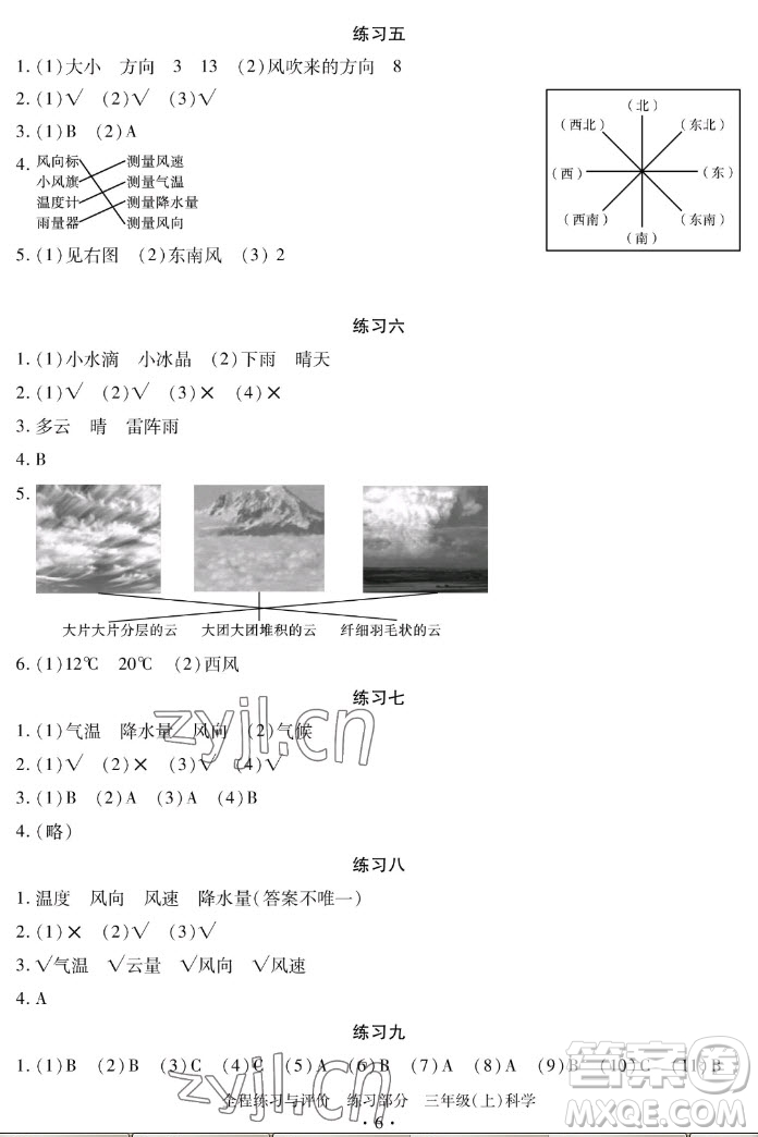 浙江人民出版社2022秋全程練習(xí)與評價三年級上冊科學(xué)教科版答案