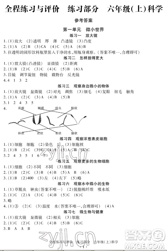 浙江人民出版社2022秋全程練習(xí)與評(píng)價(jià)六年級(jí)上冊(cè)科學(xué)教科版答案