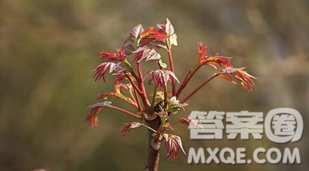 我用拼搏繪青春為題作文600字 關(guān)于我用拼搏繪青春的作文600字