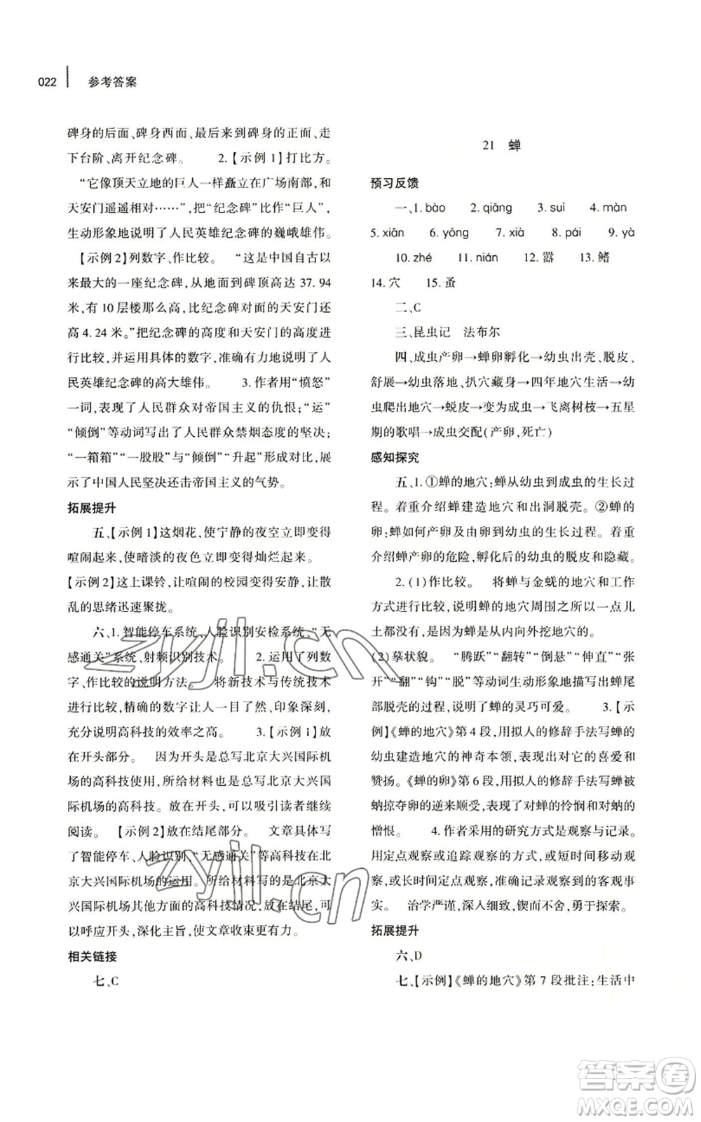 大象出版社2022基礎訓練八年級上冊語文人教版參考答案