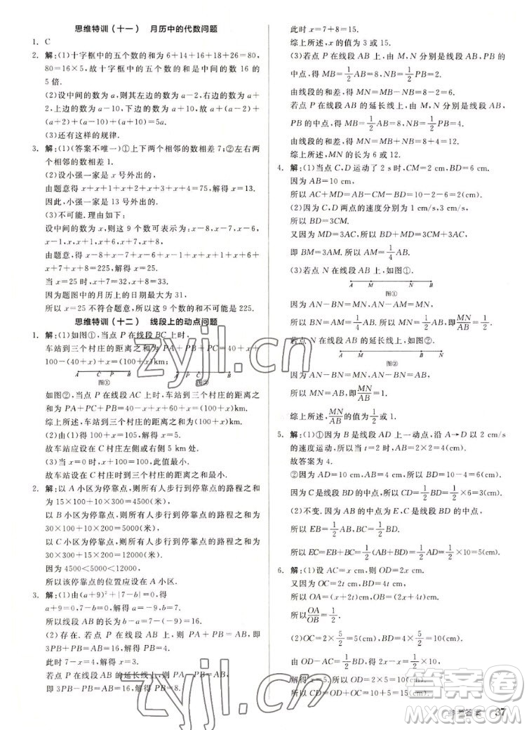 陽光出版社2022秋練就優(yōu)等生同步作業(yè)數(shù)學(xué)七年級上冊BS北師版答案
