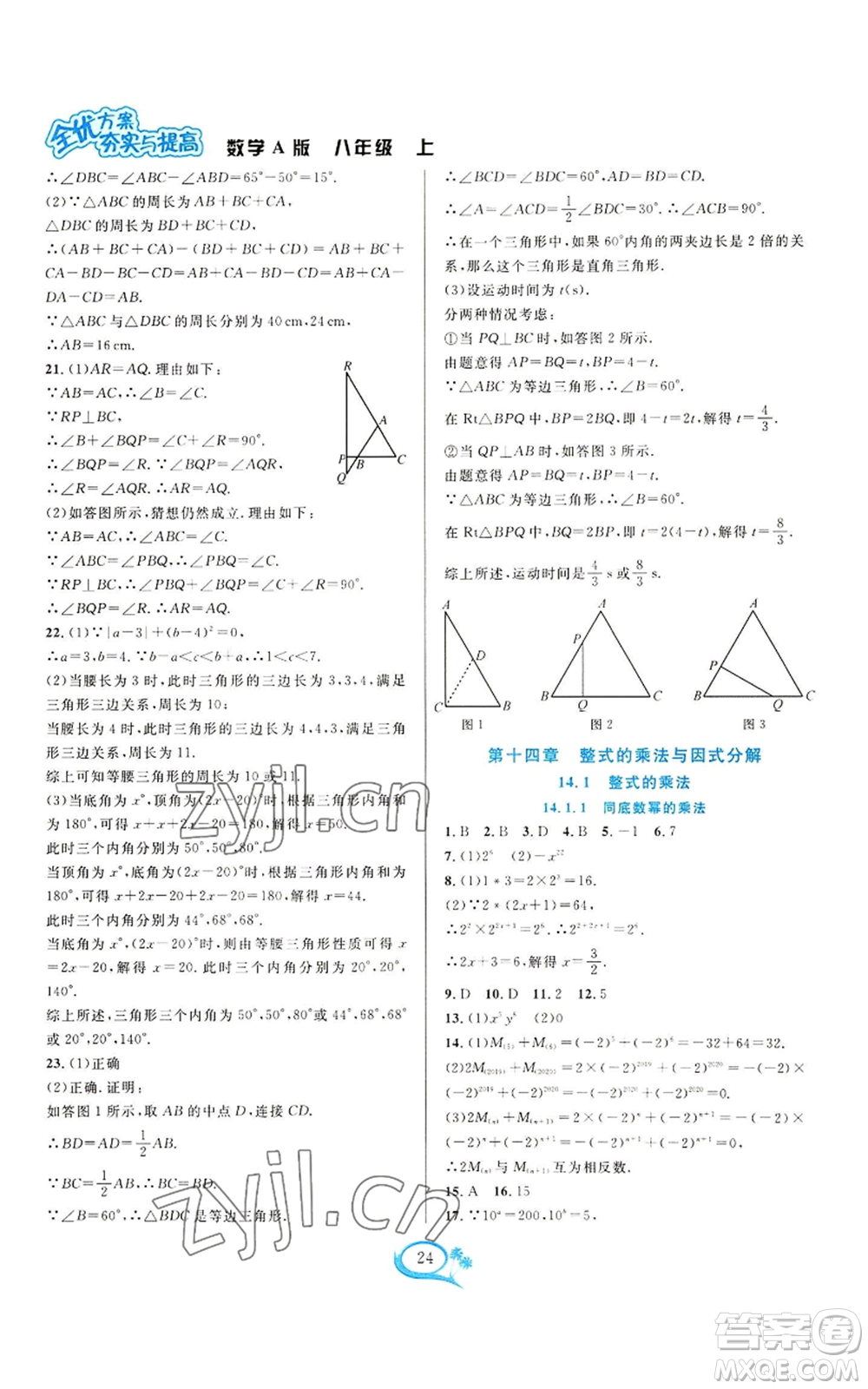 華東師范大學出版社2022全優(yōu)方案夯實與提高八年級上冊數(shù)學人教版A版參考答案