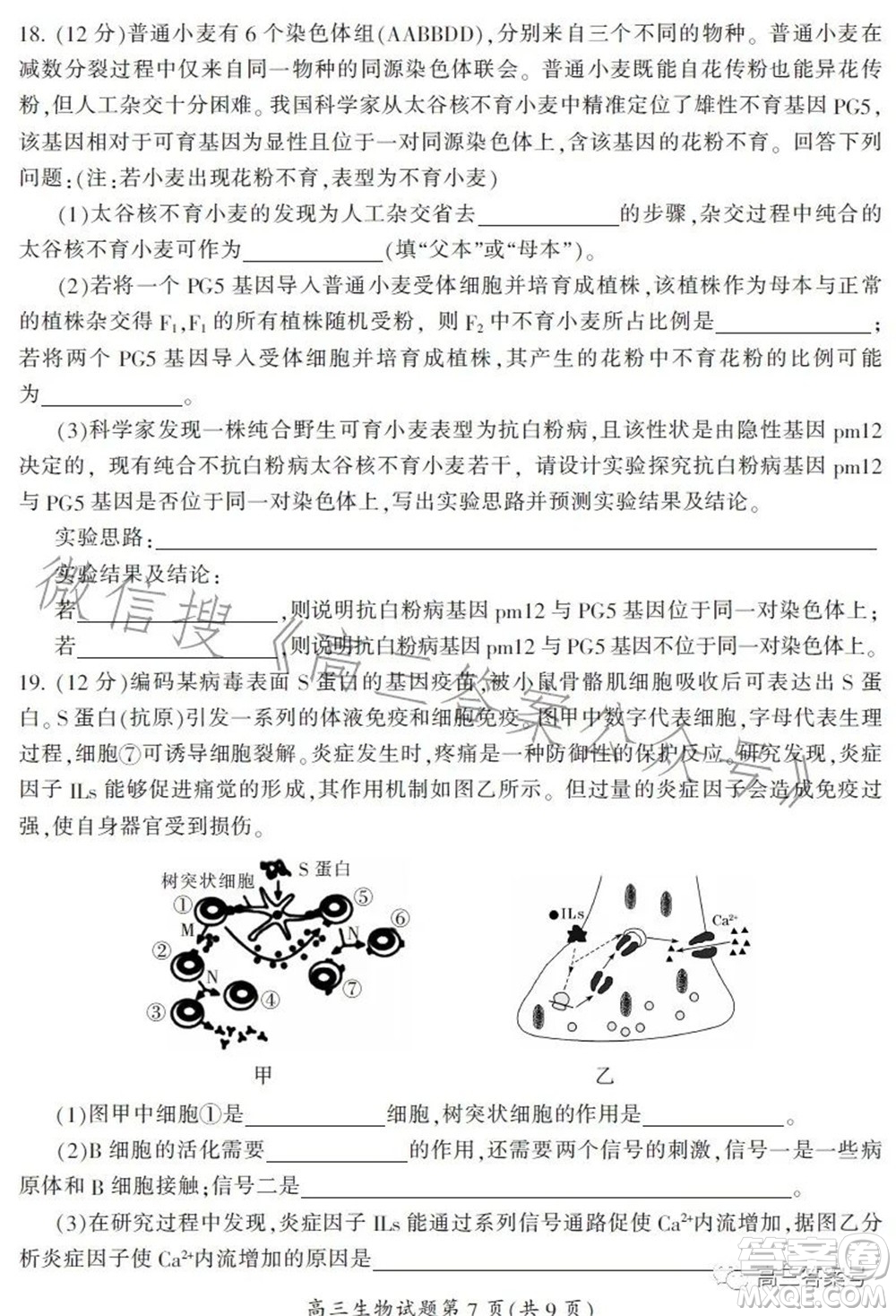 郴州市2023屆高三第一次教學(xué)質(zhì)量監(jiān)測試卷生物試題及答案