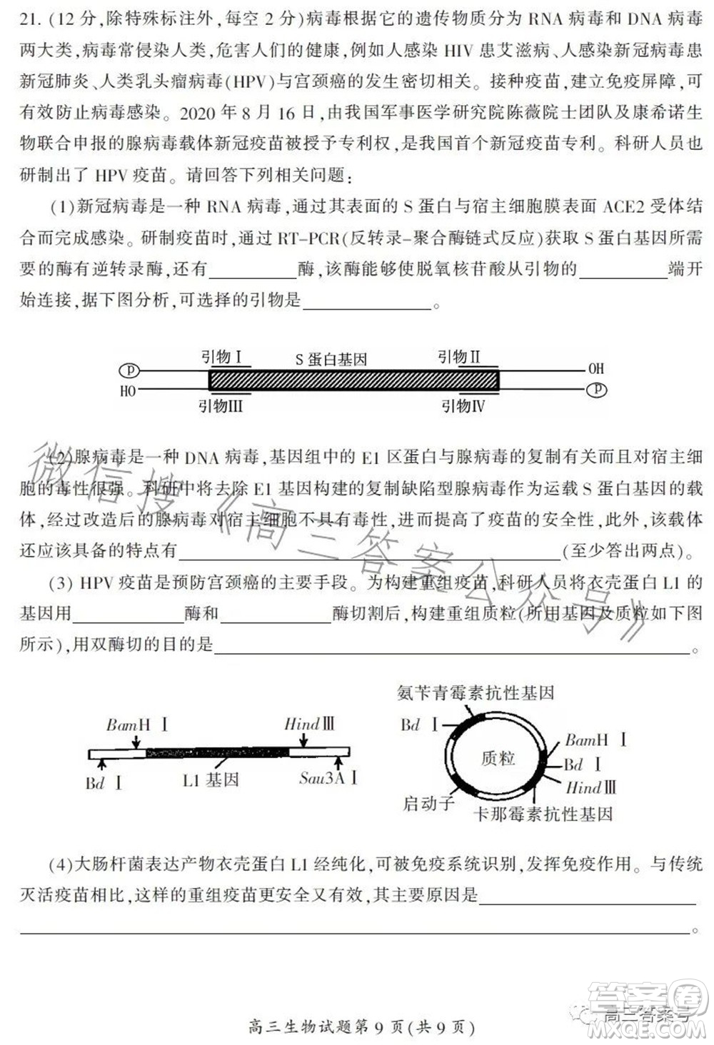 郴州市2023屆高三第一次教學(xué)質(zhì)量監(jiān)測試卷生物試題及答案