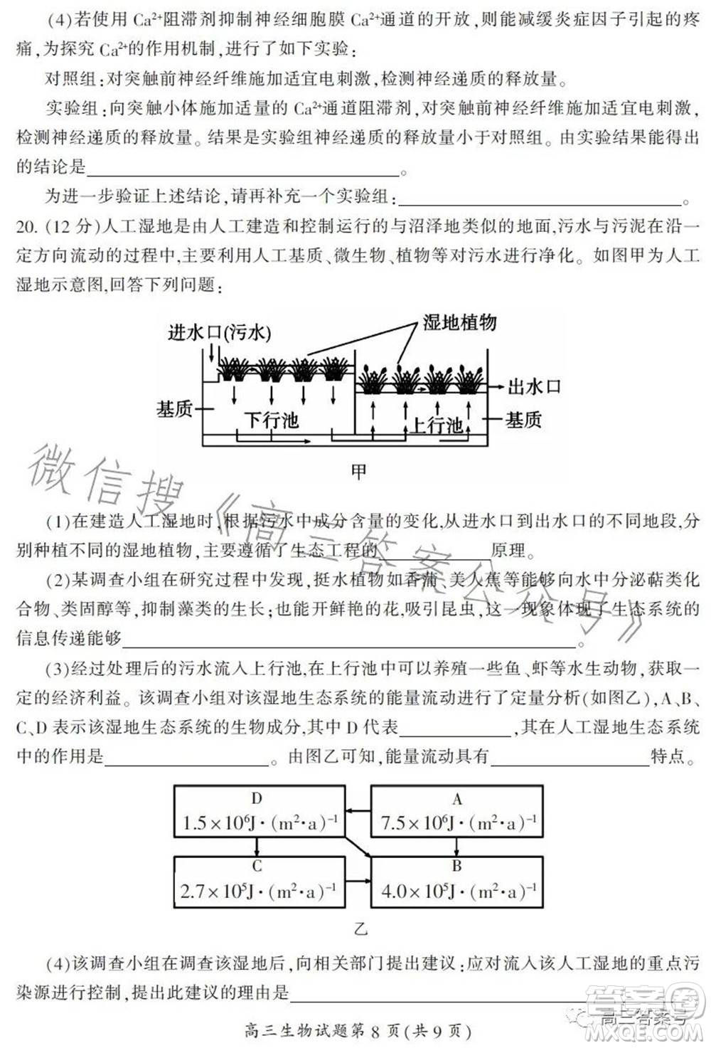 郴州市2023屆高三第一次教學(xué)質(zhì)量監(jiān)測試卷生物試題及答案