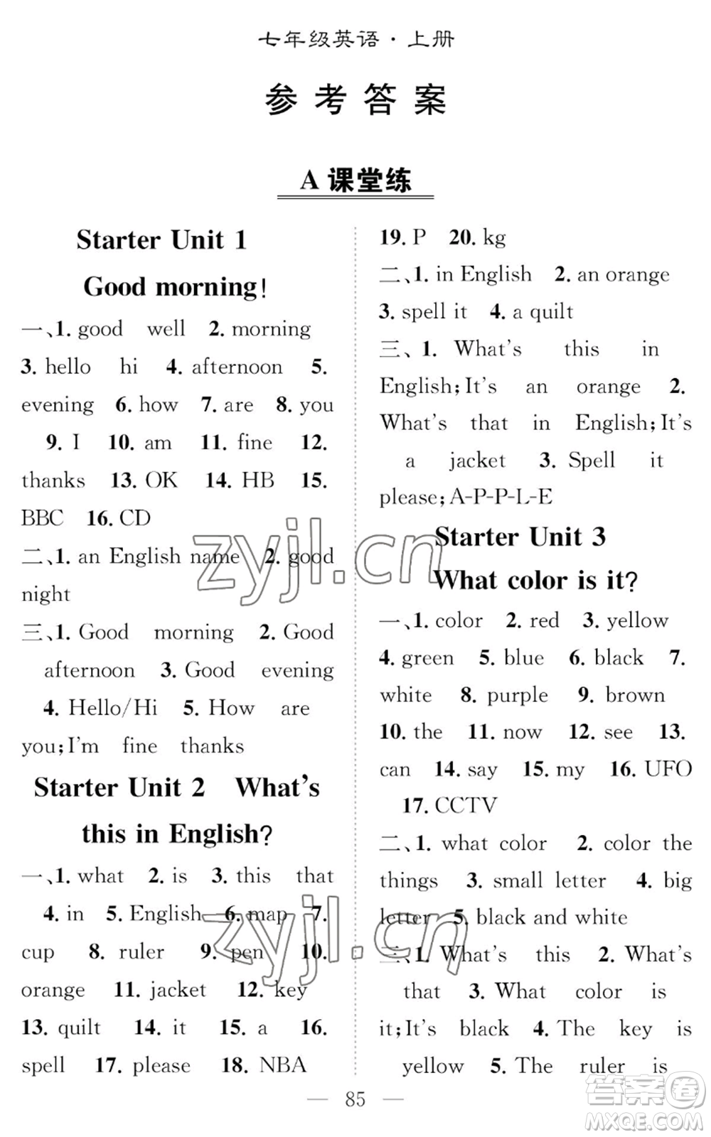 長江少年兒童出版社2022智慧課堂創(chuàng)新作業(yè)七年級上冊英語人教版參考答案