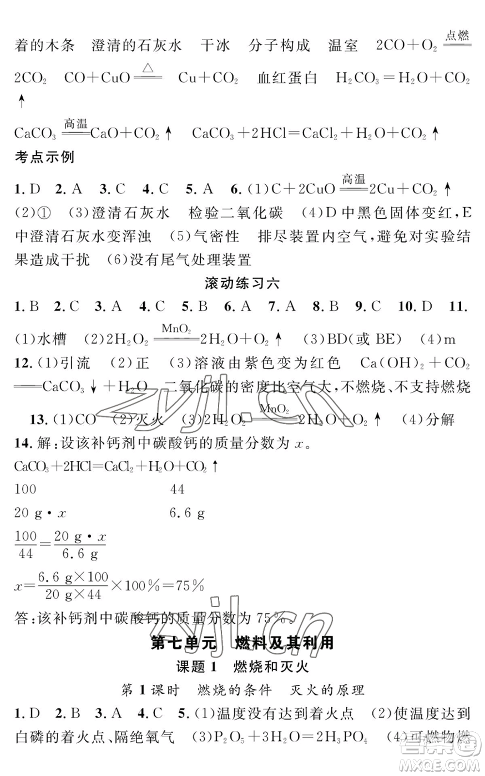 長江少年兒童出版社2022智慧課堂創(chuàng)新作業(yè)九年級上冊化學人教版參考答案
