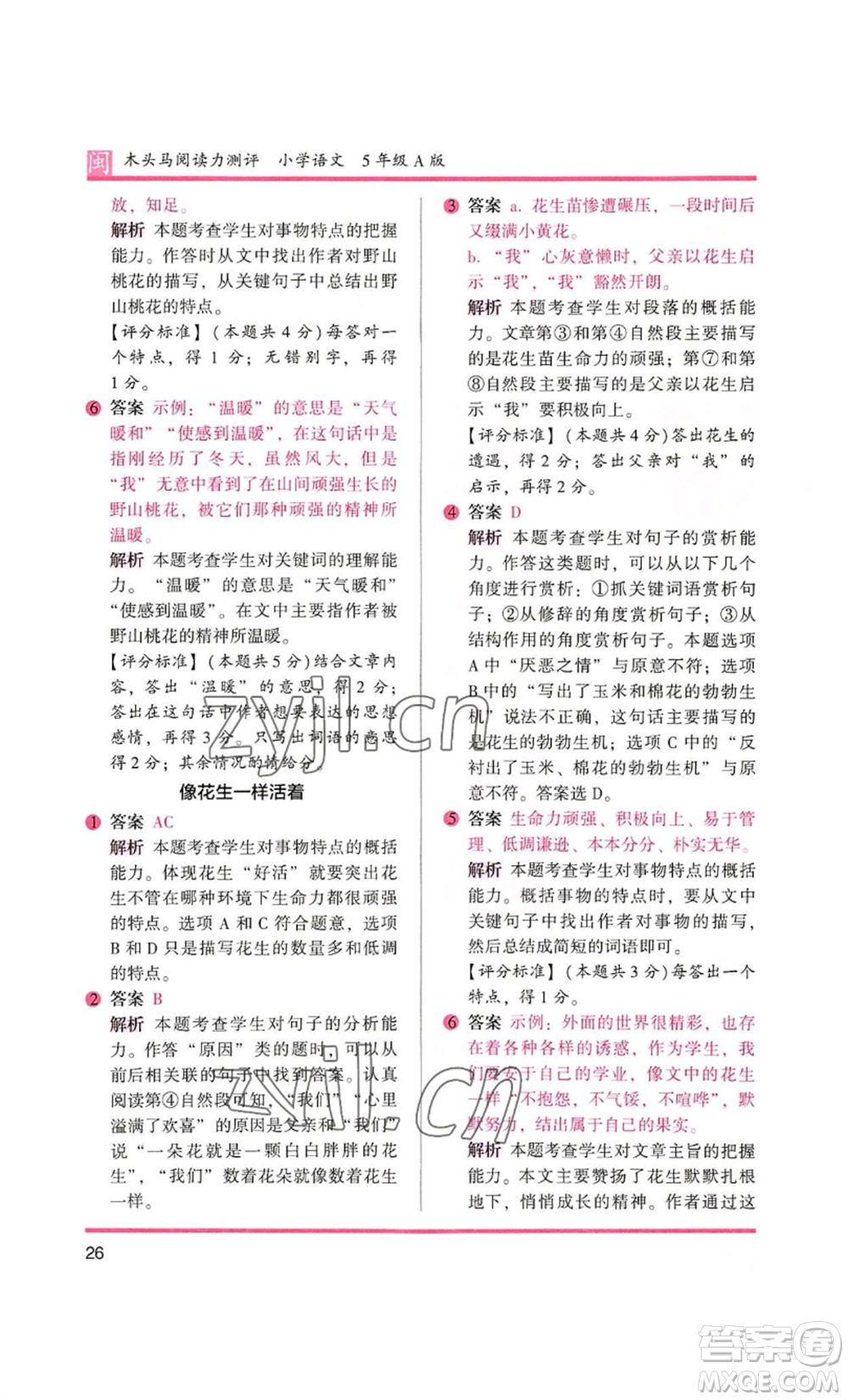 鷺江出版社2022木頭馬閱讀力測(cè)評(píng)五年級(jí)語文人教版A版福建專版參考答案