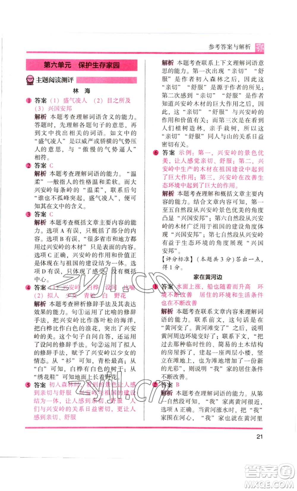 江蘇鳳凰美術(shù)出版社2022木頭馬閱讀力測(cè)評(píng)六年級(jí)語文人教版B版大武漢專版參考答案