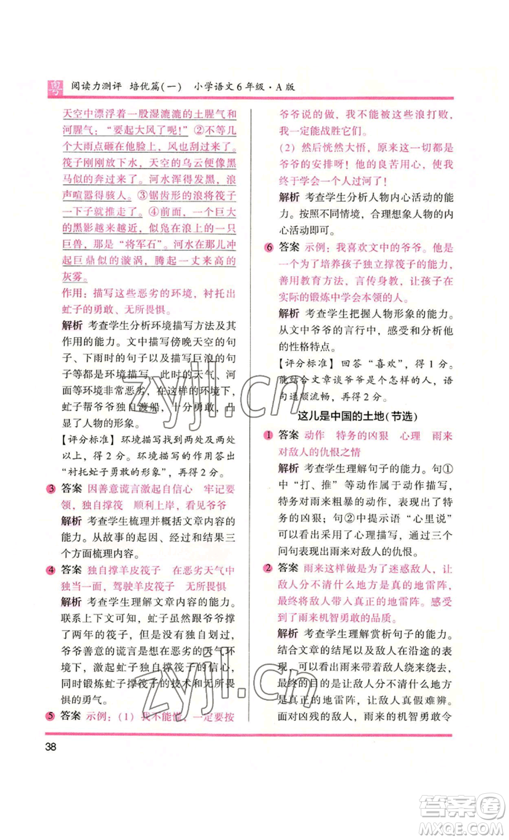 江蘇鳳凰文藝出版社2022木頭馬閱讀力測(cè)評(píng)六年級(jí)語(yǔ)文人教版A本廣東專版參考答案