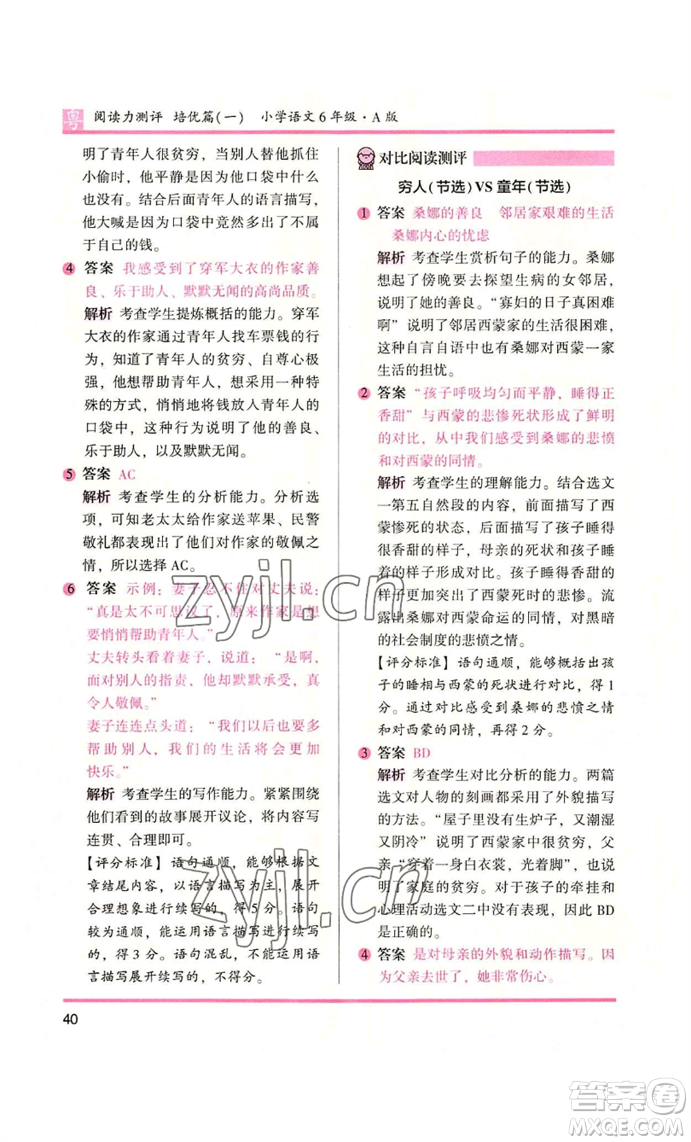 江蘇鳳凰文藝出版社2022木頭馬閱讀力測(cè)評(píng)六年級(jí)語(yǔ)文人教版A本廣東專版參考答案