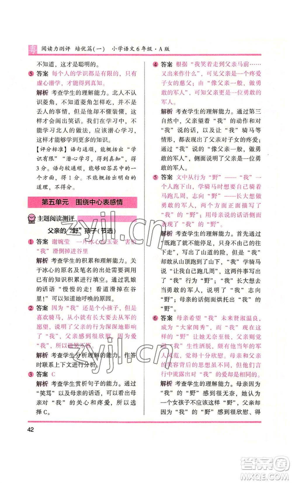 江蘇鳳凰文藝出版社2022木頭馬閱讀力測(cè)評(píng)六年級(jí)語(yǔ)文人教版A本廣東專版參考答案