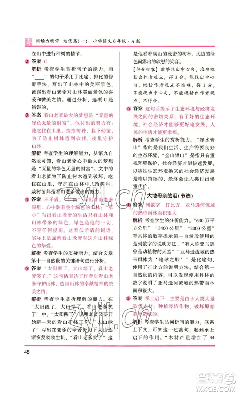 江蘇鳳凰文藝出版社2022木頭馬閱讀力測(cè)評(píng)六年級(jí)語(yǔ)文人教版A本廣東專版參考答案