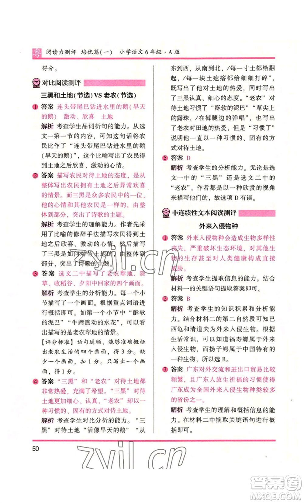 江蘇鳳凰文藝出版社2022木頭馬閱讀力測(cè)評(píng)六年級(jí)語(yǔ)文人教版A本廣東專版參考答案
