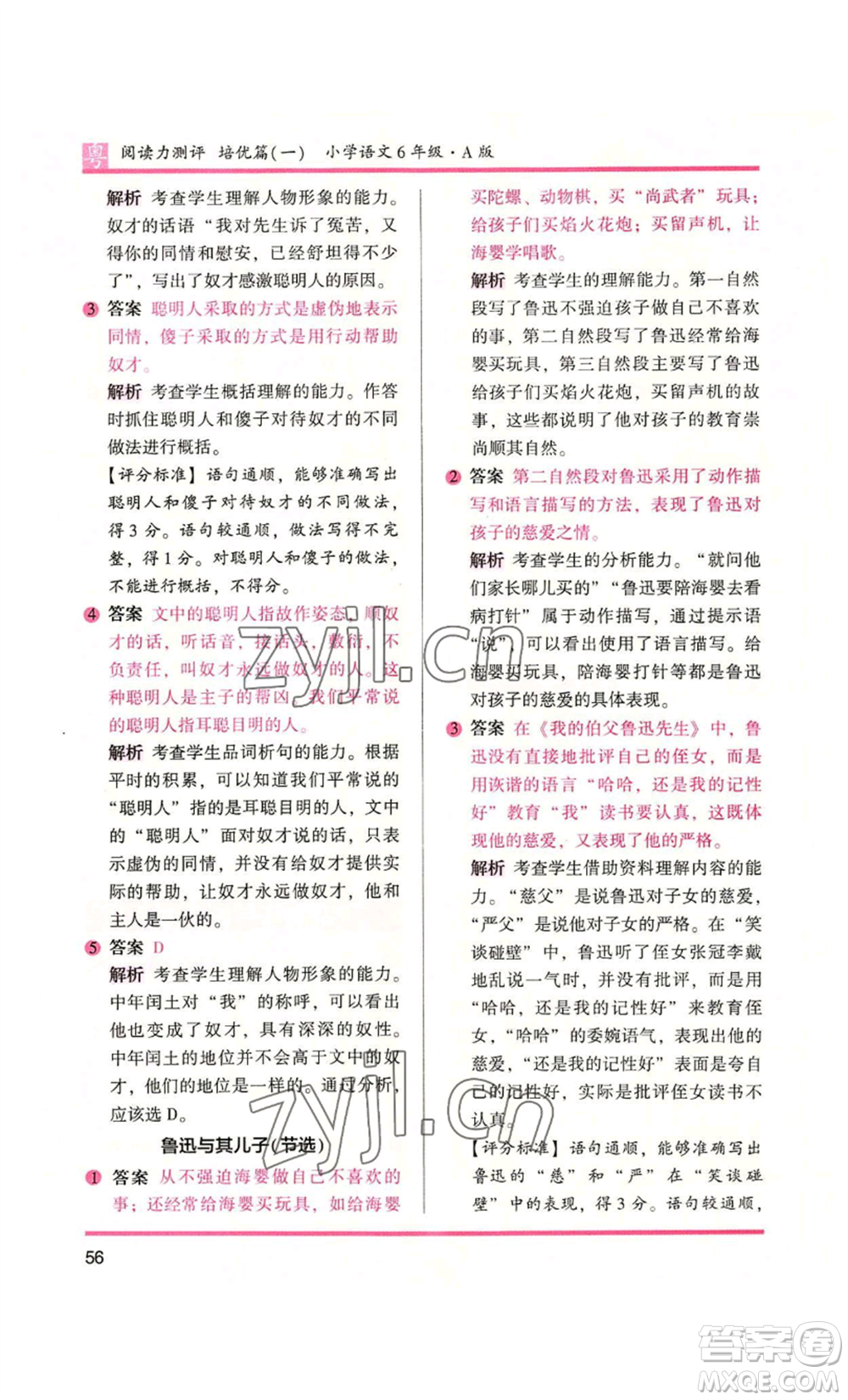 江蘇鳳凰文藝出版社2022木頭馬閱讀力測(cè)評(píng)六年級(jí)語(yǔ)文人教版A本廣東專版參考答案