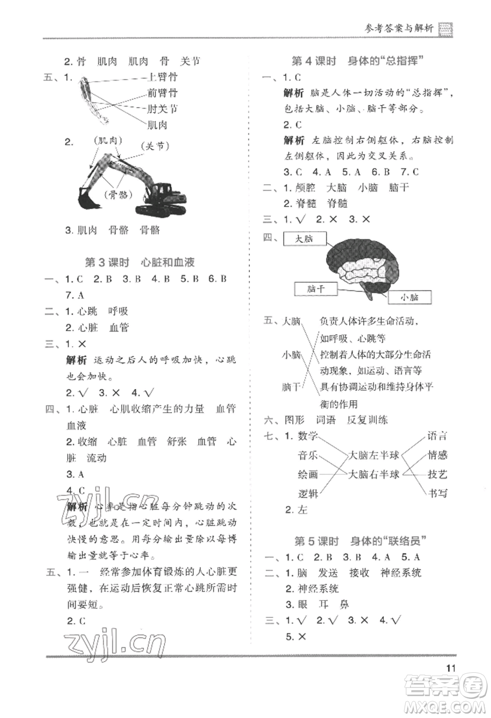 湖南師范大學(xué)出版社2022木頭馬分層課課練五年級上冊科學(xué)教科版參考答案