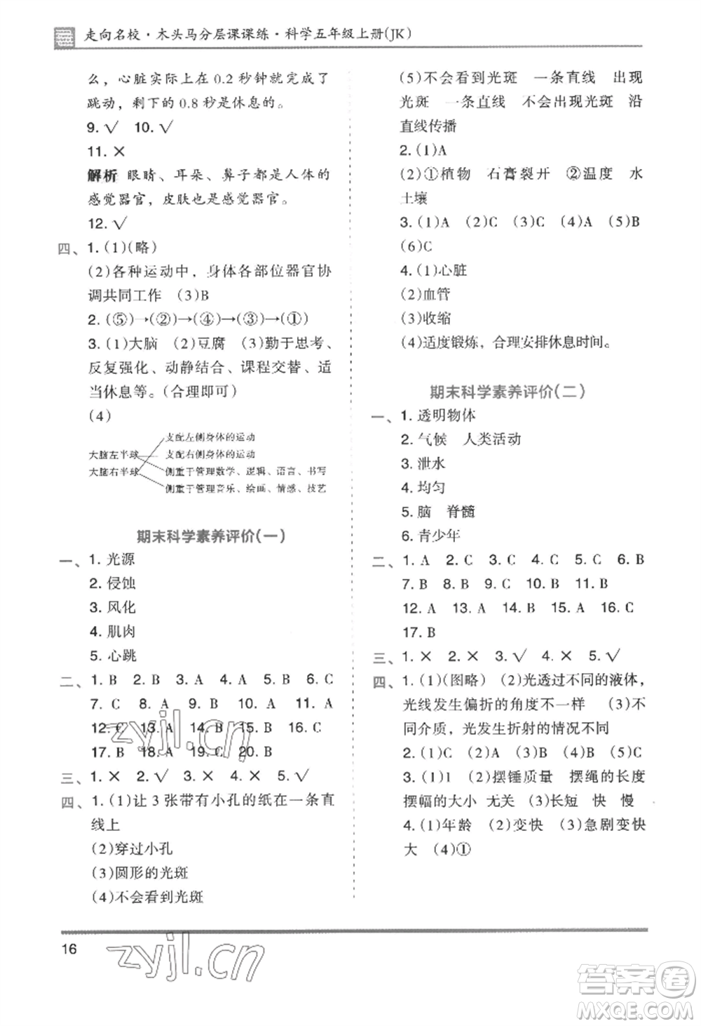 湖南師范大學(xué)出版社2022木頭馬分層課課練五年級上冊科學(xué)教科版參考答案