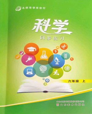 山東美術(shù)出版社2022名師導(dǎo)學(xué)伴你行同步練習(xí)六年級(jí)上冊(cè)科學(xué)通用版參考答案