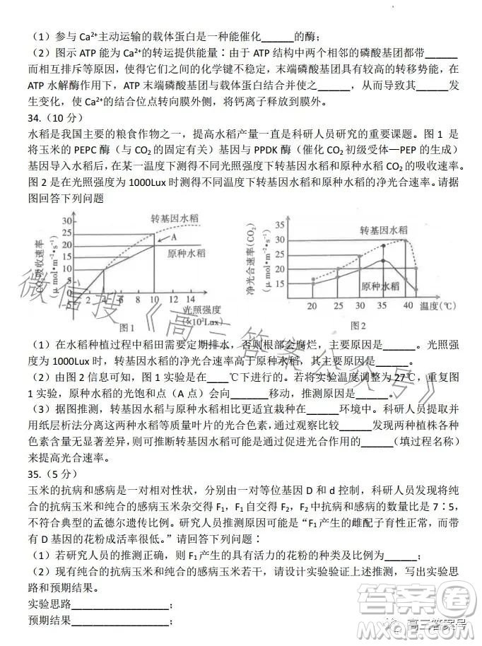 太原2022-2023學(xué)年第一學(xué)期高三年級期中質(zhì)量監(jiān)測生物試卷答案