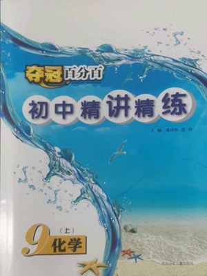 河北少年兒童出版社2022奪冠百分百初中精講精練九年級上冊化學(xué)人教版參考答案