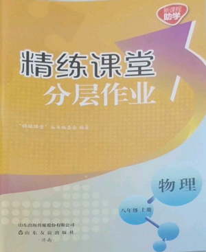山東友誼出版社2022精練課堂分層作業(yè)八年級上冊物理人教版參考答案