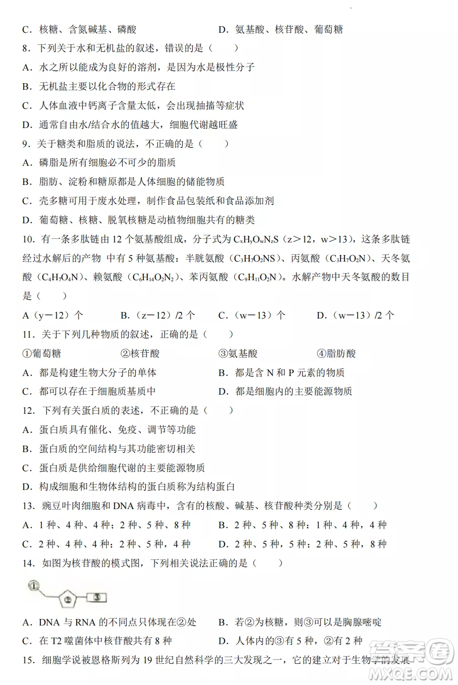 2022-2023齊齊哈爾市八校聯(lián)合體高一上學期生物期中試卷答案
