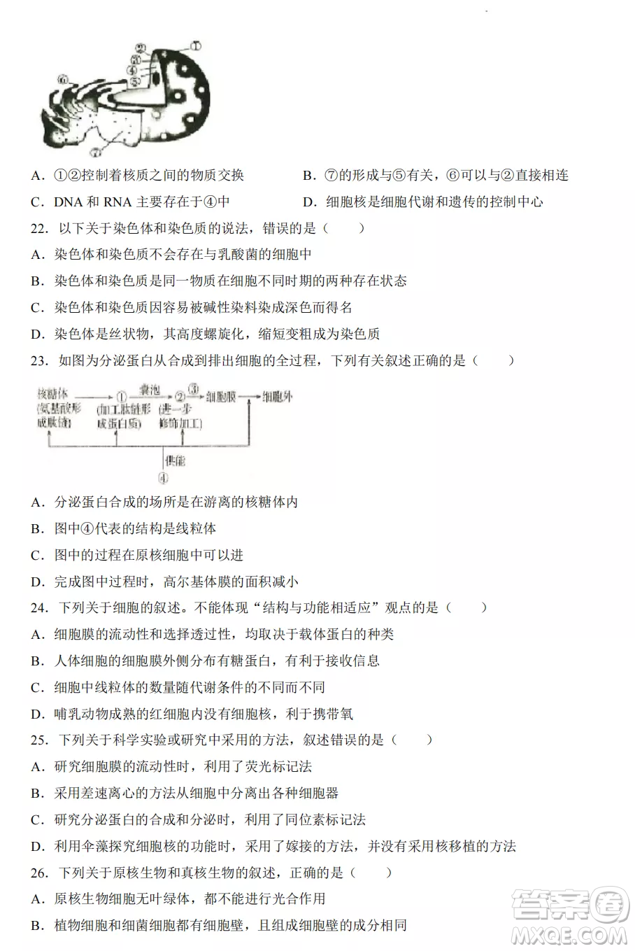 2022-2023齊齊哈爾市八校聯(lián)合體高一上學期生物期中試卷答案