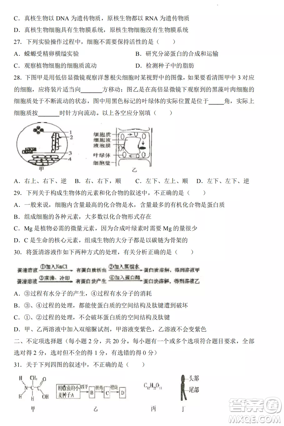 2022-2023齊齊哈爾市八校聯(lián)合體高一上學期生物期中試卷答案