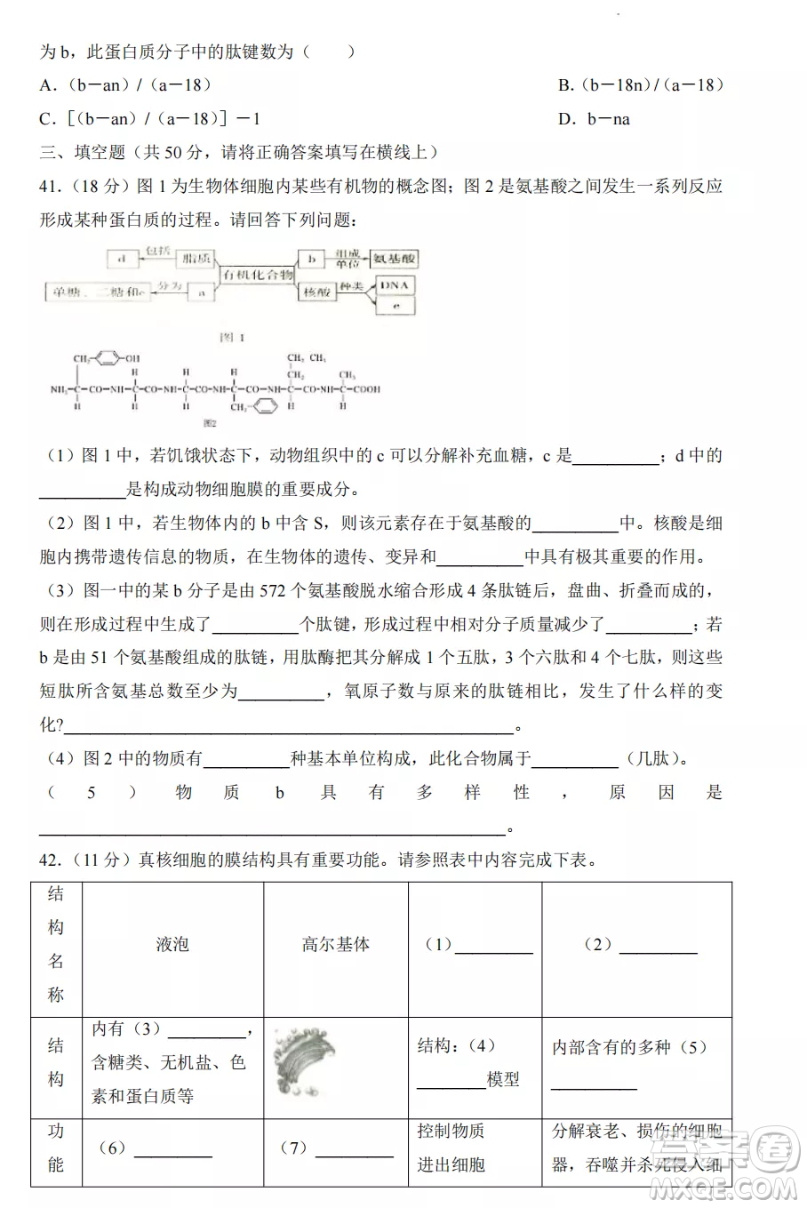 2022-2023齊齊哈爾市八校聯(lián)合體高一上學期生物期中試卷答案