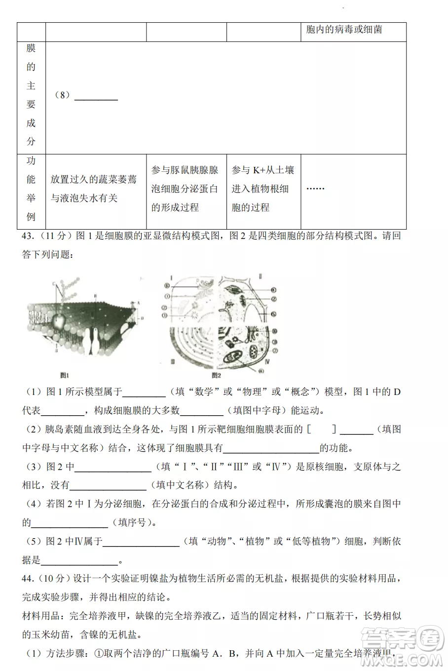 2022-2023齊齊哈爾市八校聯(lián)合體高一上學期生物期中試卷答案