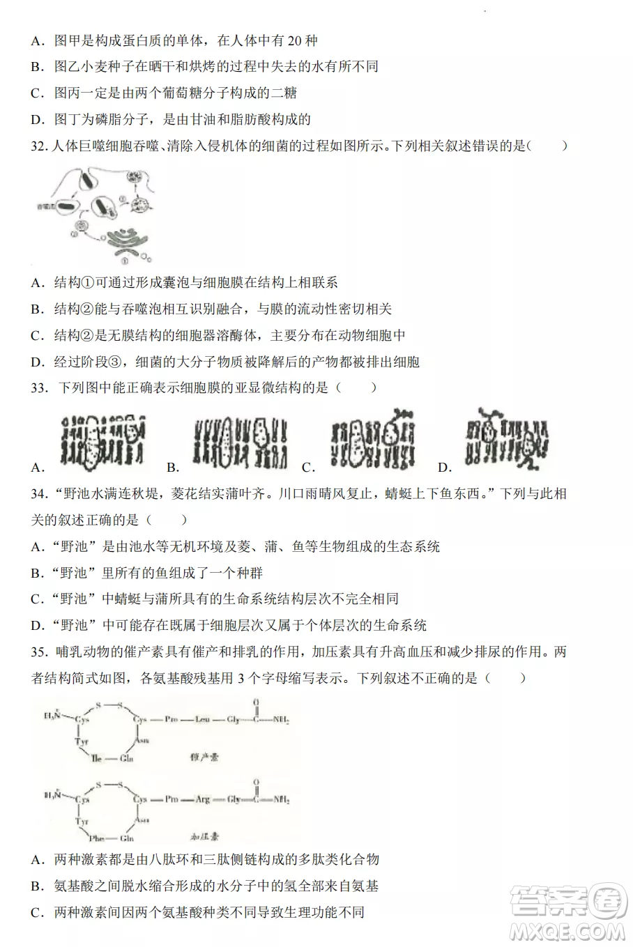 2022-2023齊齊哈爾市八校聯(lián)合體高一上學期生物期中試卷答案