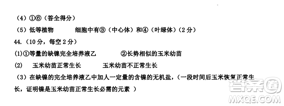 2022-2023齊齊哈爾市八校聯(lián)合體高一上學期生物期中試卷答案