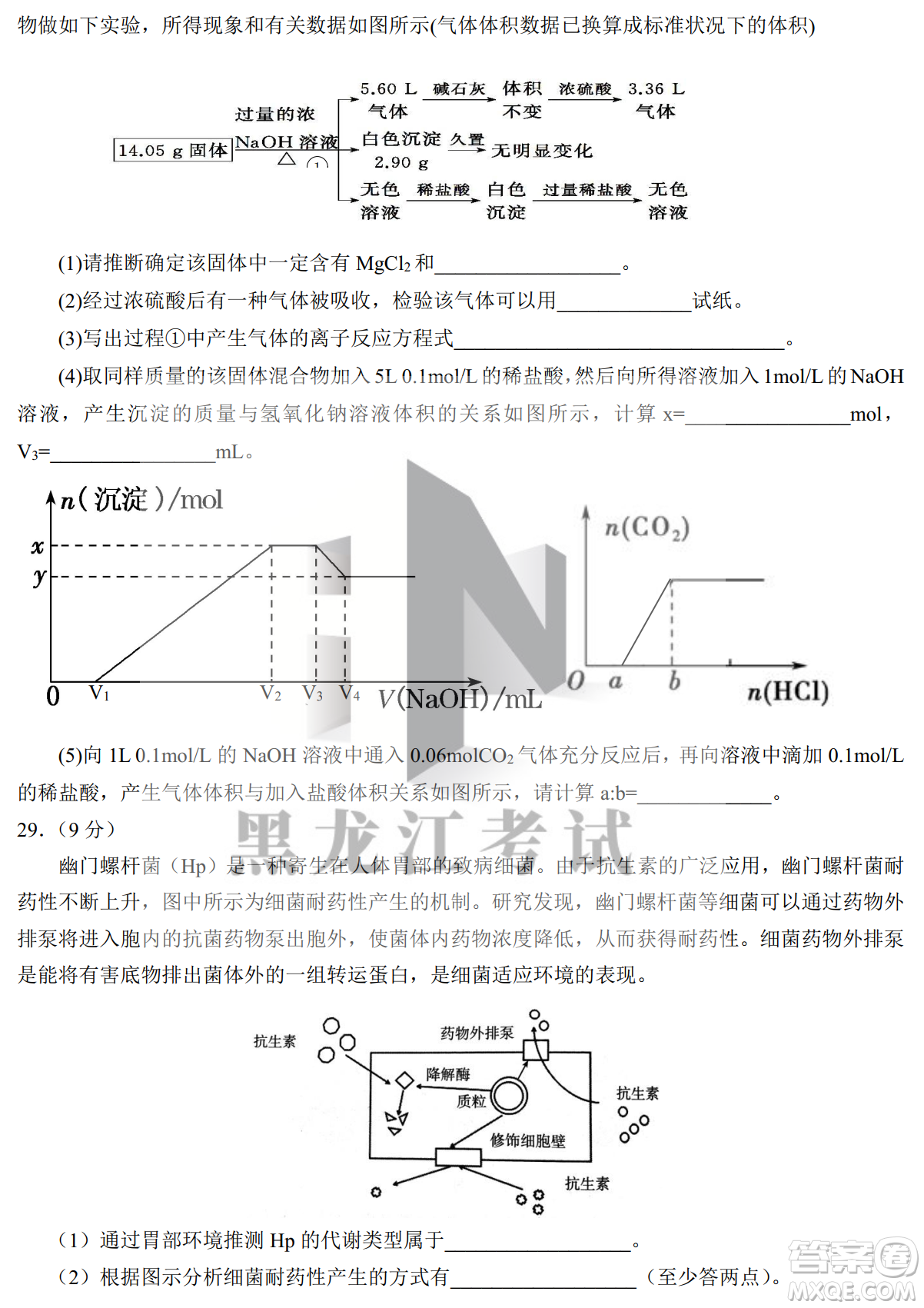 銀川一中2023屆高三年級(jí)第二次月考理科綜合試卷答案