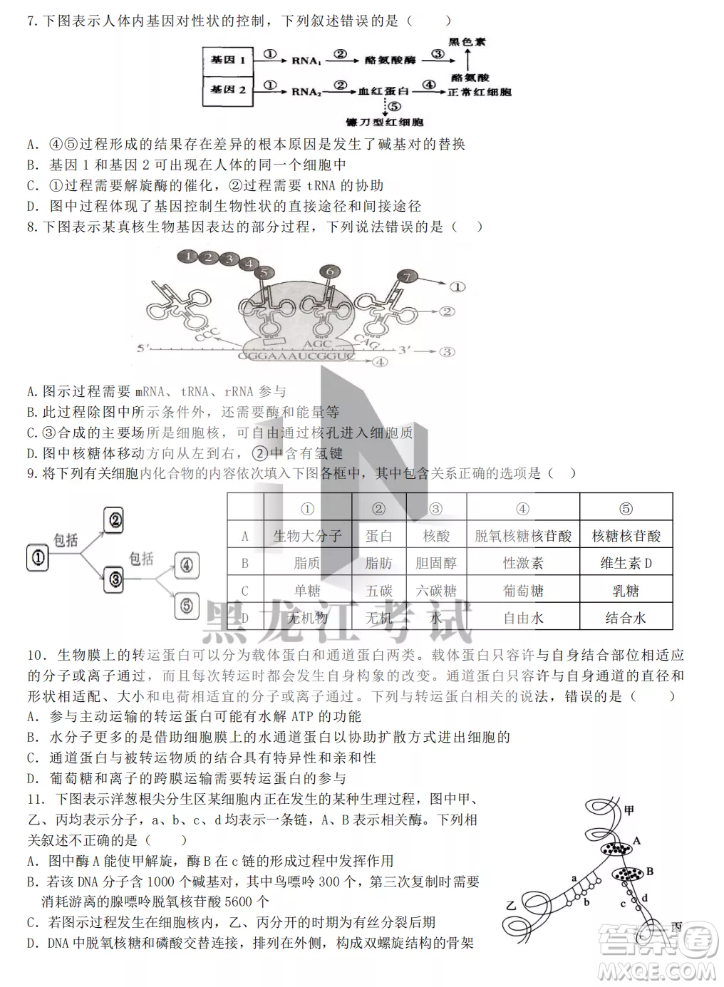 齊齊哈爾市實驗中學2022-2023學年度第一學期高二期中考試生物試題及答案