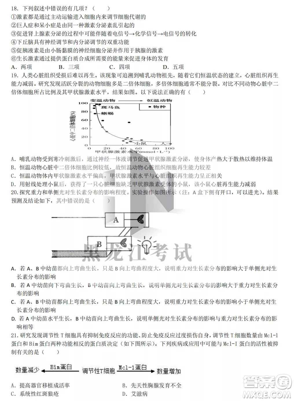 齊齊哈爾市實驗中學2022-2023學年度第一學期高二期中考試生物試題及答案