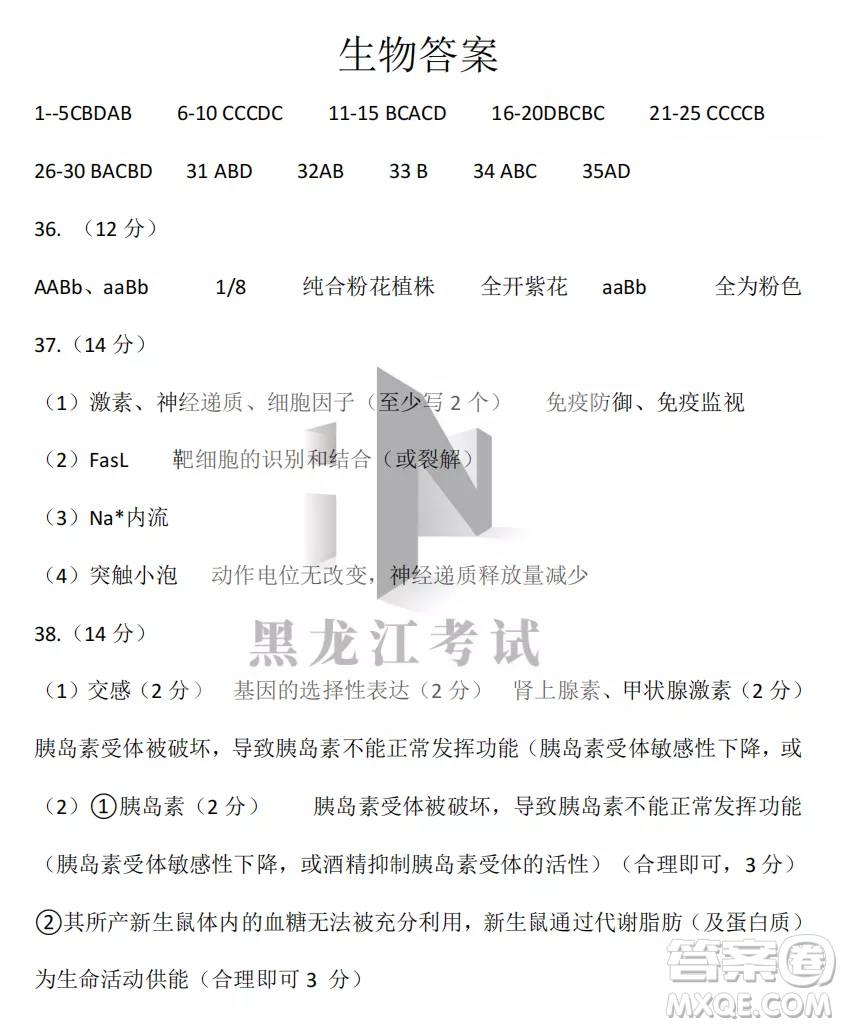 齊齊哈爾市實驗中學2022-2023學年度第一學期高二期中考試生物試題及答案