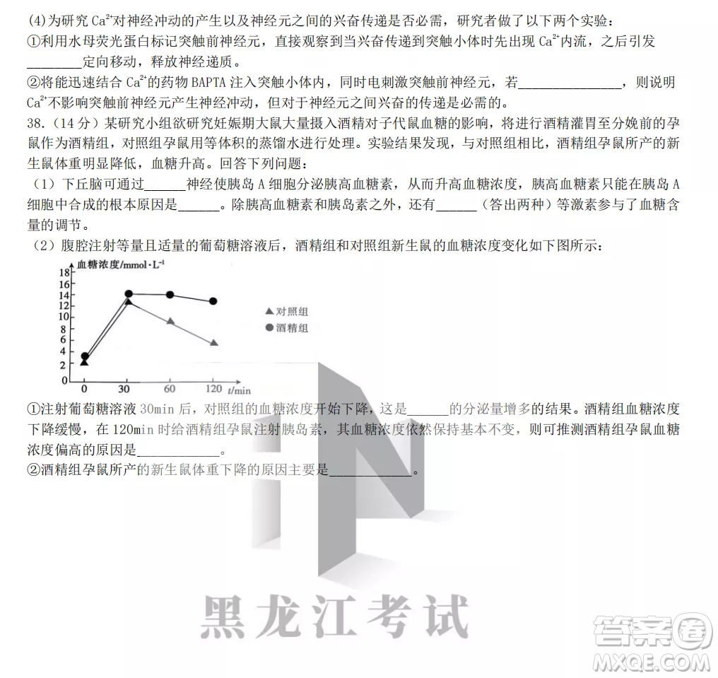 齊齊哈爾市實驗中學2022-2023學年度第一學期高二期中考試生物試題及答案
