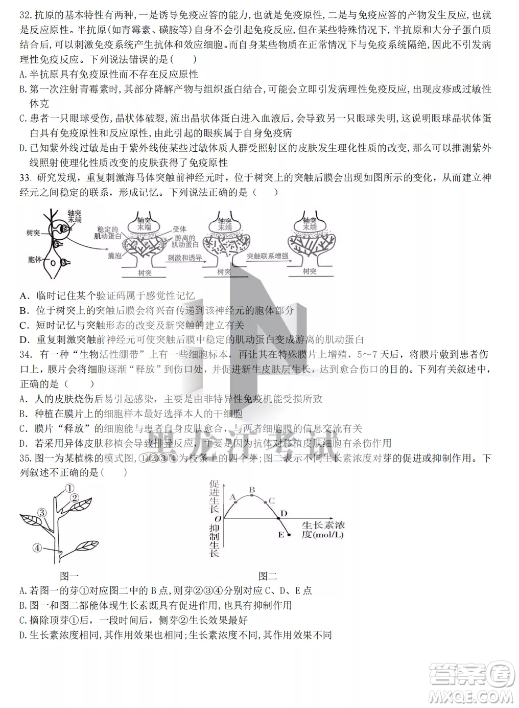 齊齊哈爾市實驗中學2022-2023學年度第一學期高二期中考試生物試題及答案