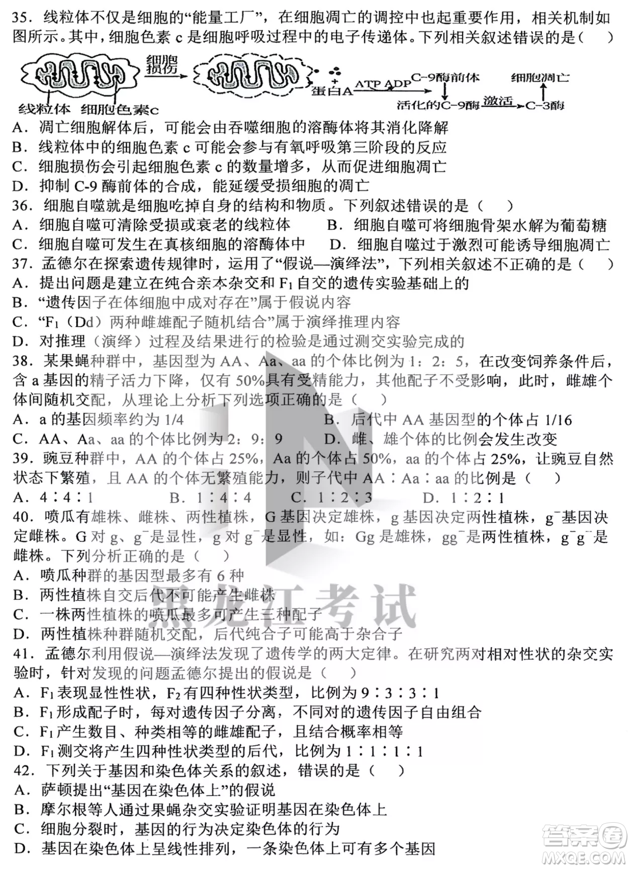 哈三中2022-2023學年度上學期高三學年第二次驗收考試生物試卷答案