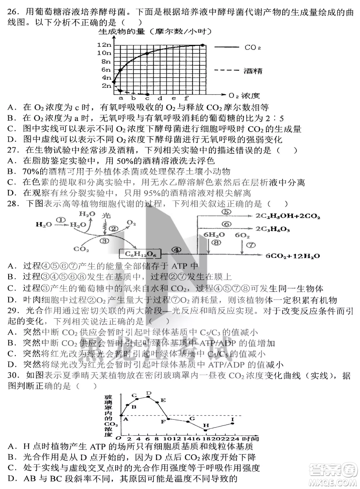 哈三中2022-2023學年度上學期高三學年第二次驗收考試生物試卷答案