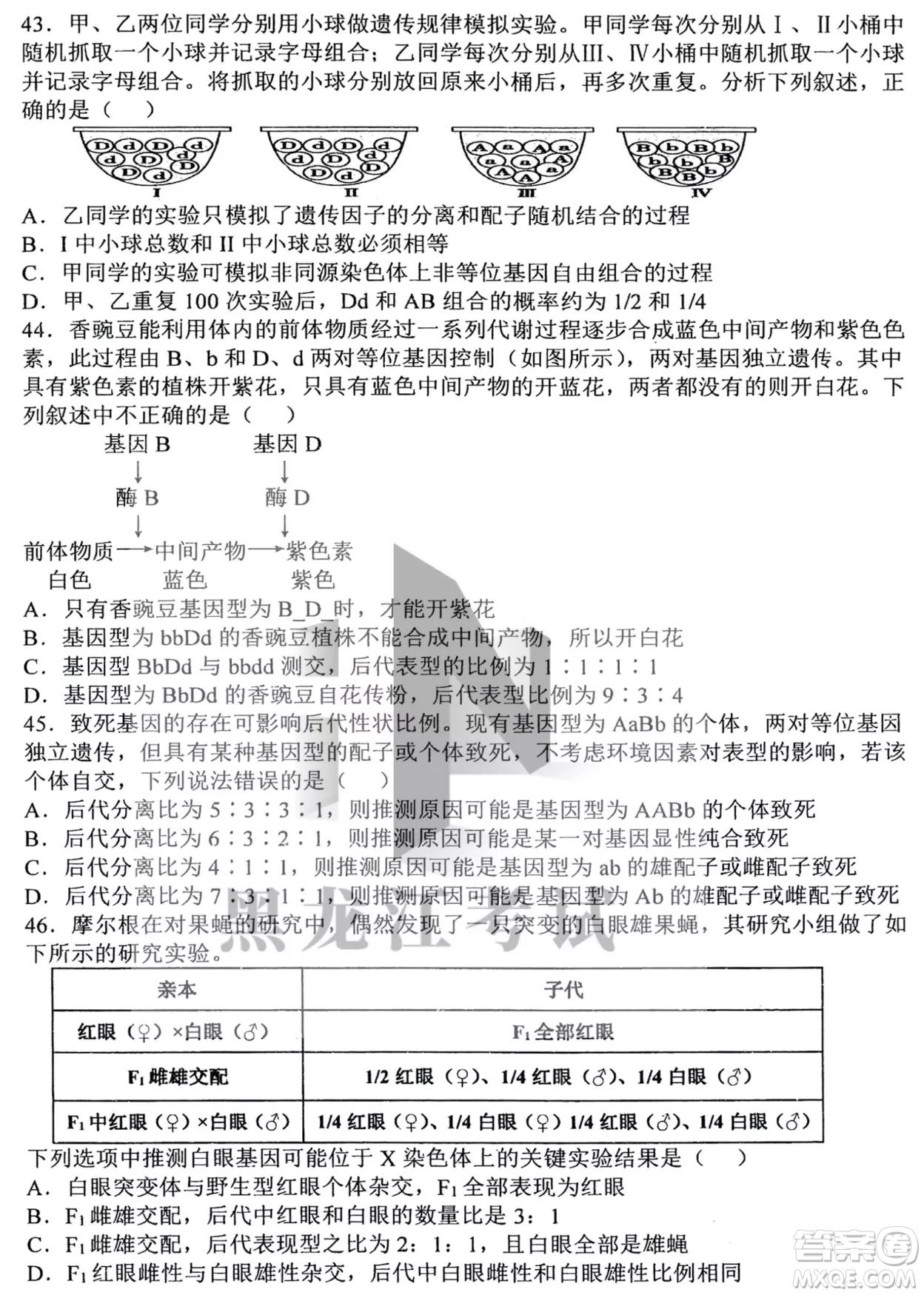 哈三中2022-2023學年度上學期高三學年第二次驗收考試生物試卷答案