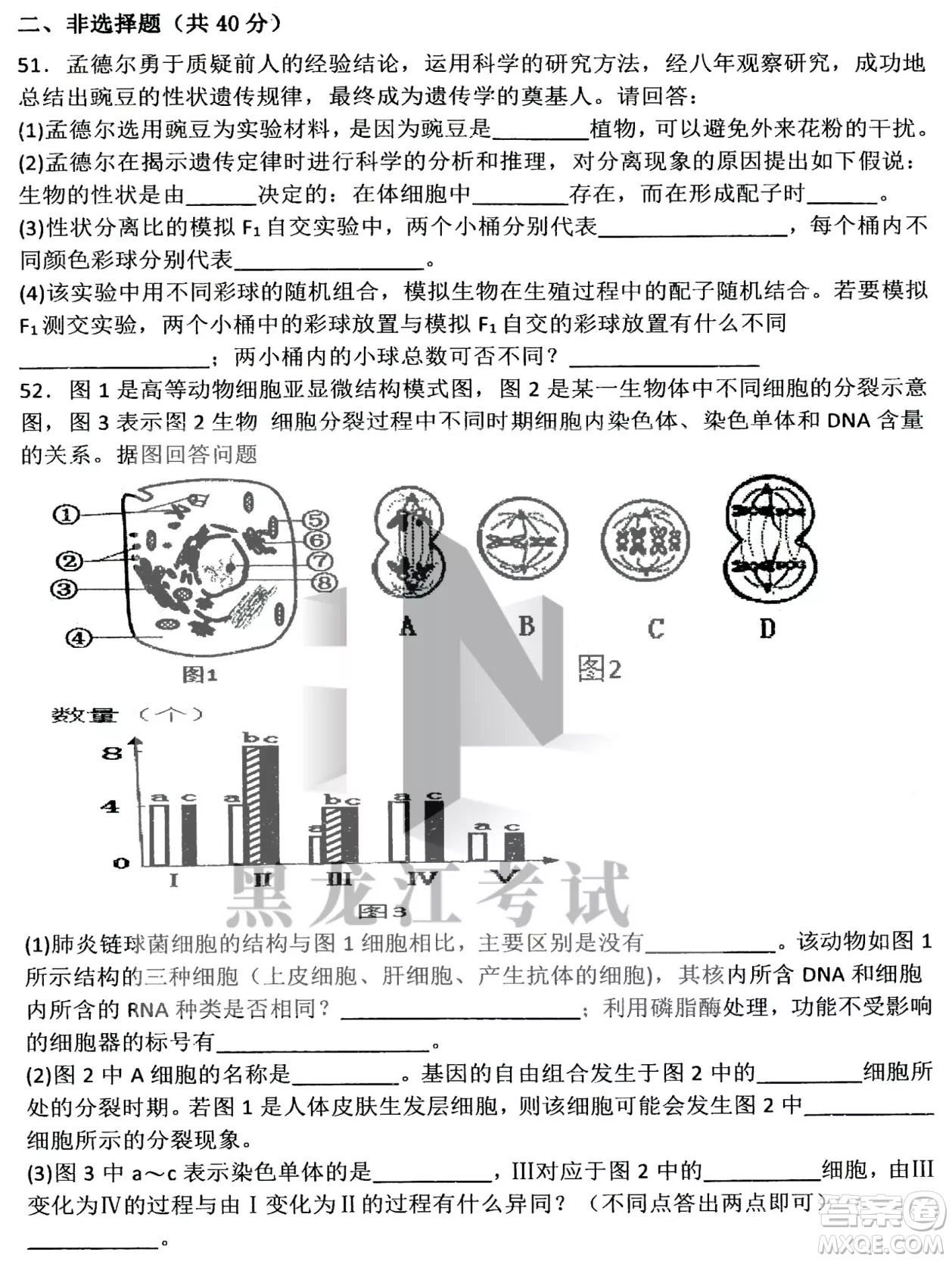 哈三中2022-2023學年度上學期高三學年第二次驗收考試生物試卷答案