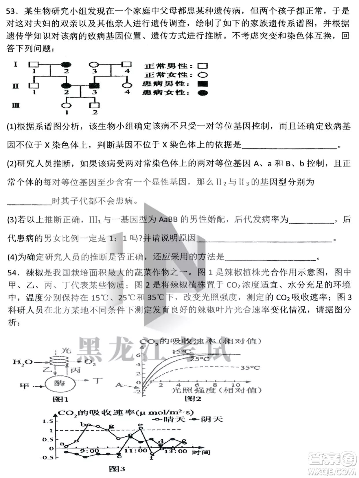 哈三中2022-2023學年度上學期高三學年第二次驗收考試生物試卷答案