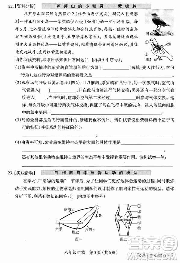 太原市2022-2023學(xué)年第一學(xué)期八年級(jí)期中質(zhì)量檢測生物學(xué)試卷答案