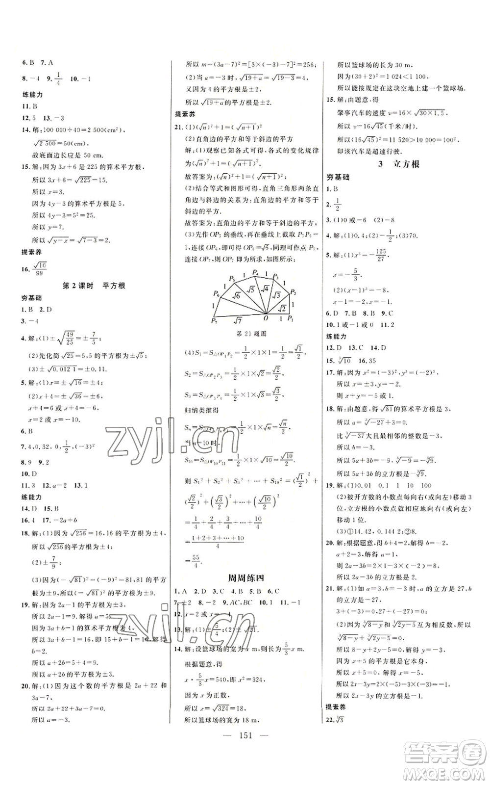 延邊大學出版社2022細解巧練七年級上冊數(shù)學魯教版參考答案