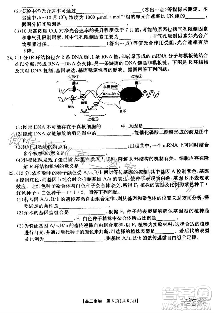山東2023屆高三金太陽11月聯(lián)考23139C生物試卷答案