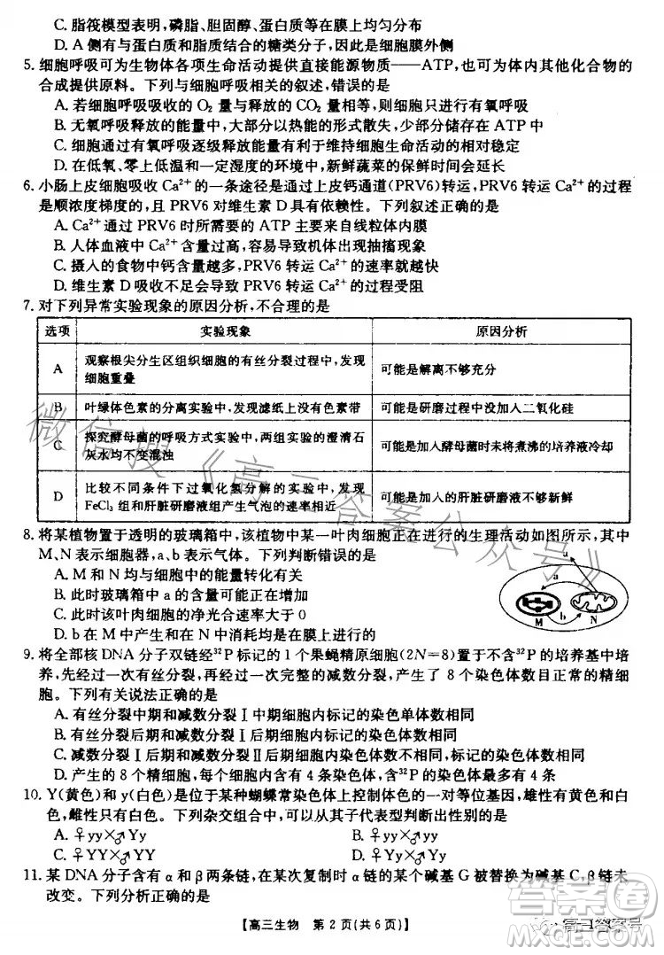 山東2023屆高三金太陽11月聯(lián)考23139C生物試卷答案
