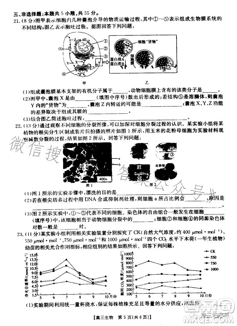 山東2023屆高三金太陽11月聯(lián)考23139C生物試卷答案