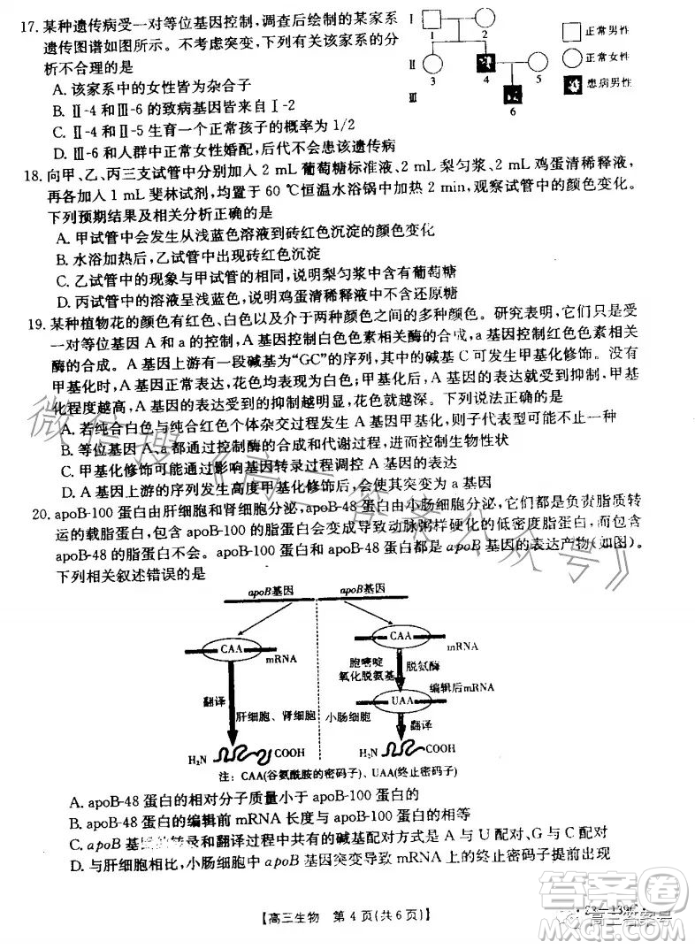 山東2023屆高三金太陽11月聯(lián)考23139C生物試卷答案