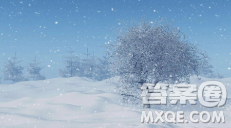 冬天的雪花寫景作文600字 關于冬天的雪花的寫景作文600字